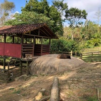 6/20/2019 tarihinde Neia F.ziyaretçi tarafından Parque Fazenda Bicho Mania'de çekilen fotoğraf