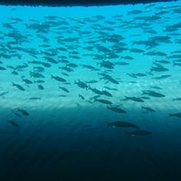 支笏湖観光船 千歳市 北海道 支笏湖観光船 千歳市 北海道
