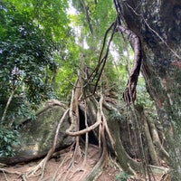 Photo taken at Reserva Florestal do Grajaú by Maria Helena A. on 2/1/2021