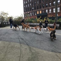 Photo taken at Main Street Dog Run by Jesse L. on 12/3/2017