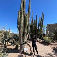 Photo taken at Desert Botanical Garden by Sharanya R. on 3/19/2024