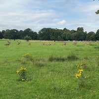 Photo taken at Wollaton Hall &amp;amp; Deer Park by F 🇰🇼 on 8/8/2023