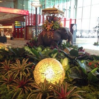 Photo taken at Singapore Airport Terminal 3 @ Rye Cain by Echo T. on 11/4/2013