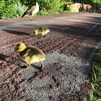 Photo taken at Red Butte Garden by Margaret S. on 5/16/2022