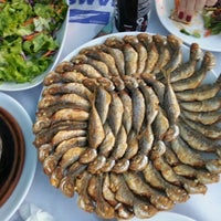 Mustafa Nin Yeri Balik Kahvalti Akcakoca Restoran Yorumlari Tripadvisor
