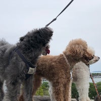 網干なぎさ公園 公園 網干なぎさ公園 公園