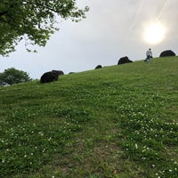 網干なぎさ公園 公園 網干なぎさ公園 公園