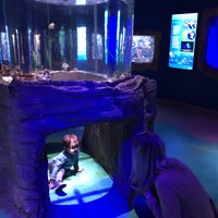 1/5/2020にChristopher M.がVia Aquariumで撮った写真