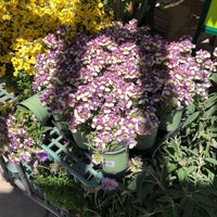 Photo taken at Armstrong Garden Centers by Lorelei F. on 4/24/2018