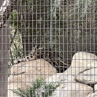 Photo taken at Snow Leopards by Jenn A. on 1/11/2023