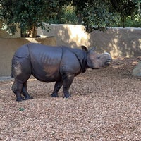 Снимок сделан в Los Angeles Zoo &amp;amp; Botanical Gardens пользователем Jenn A. 12/9/2023