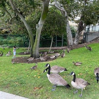 Polliwog Park - Park in Manhattan Beach