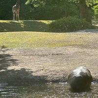 Photo taken at Hippo Pool by Michelle M. on 6/9/2023