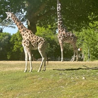 Photo taken at Giraffe Barn by Michelle M. on 6/9/2023