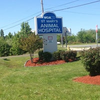 st mary's vca hospital