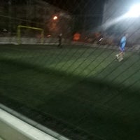 pamuk hali saha aydin aydin