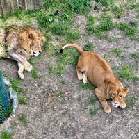 Photo taken at Ялтинский зоопарк «Сказка» / Yalta Zoo by Marta B. on 5/11/2021