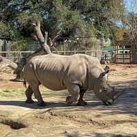Photo taken at Houston Zoo by نَ on 12/28/2023