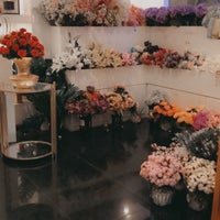 ليلاس lilas الرس al qasim