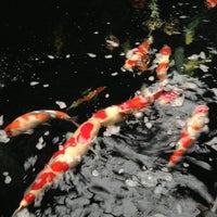 Photo taken at Koikichi Fish Farm by Hua on 9/29/2013