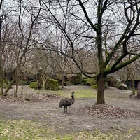 Photo taken at City Zoological Garden Warsaw by Yulia K. on 3/23/2024