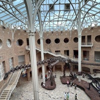 Photo taken at Fernbank Museum of Natural History by Landon H. on 9/5/2022