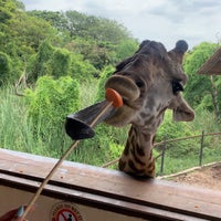 Photo taken at giraffe feeding by 𝑀𝑜𝑛𝑎 on 7/7/2022