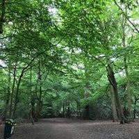 Photo taken at Highgate Wood by Iggy G. on 5/20/2019
