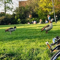 Photo taken at Furnival Gardens by Iggy G. on 4/19/2019