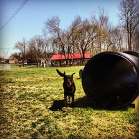 Photo taken at City of Mount Juliet Bark Park by Candida J. on 4/1/2013