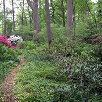 Arboretum Of The Barnes Foundation Merion Station Pa