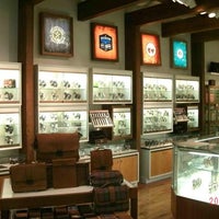 Fossil Store - 106 visitors