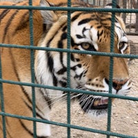 Photo taken at Oáza Sibírskeho Tigra by Robert / โรเบิร์ต ✈ on 4/14/2019