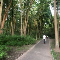 Photo taken at Cunningham Park Trail by Tatiana on 6/8/2020