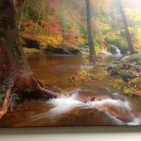 รูปภาพถ่ายที่ Great Smoky Mountains Heritage Center โดย Andrea D. เมื่อ 12/18/2012