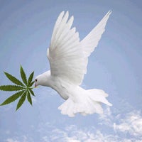 Review Wayang Gambar