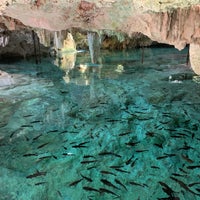 2/13/2020 tarihinde Nadge P.ziyaretçi tarafından Aktun-Chen Ecopark'de çekilen fotoğraf