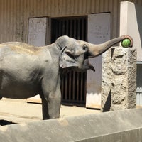 Photo taken at Kanazawa Zoo by Naohisa N. on 8/26/2018