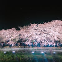 Photo taken at 野川桜ライトアップ by あやね＊ on 4/4/2019