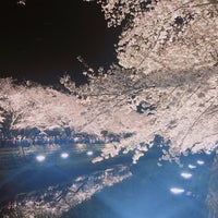 Photo taken at 野川桜ライトアップ by あやね＊ on 4/4/2019