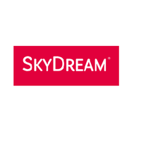 Sky dreams перевод
