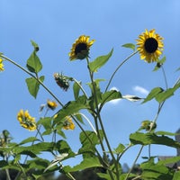 Photo taken at Saginomiya Station (SS09) by のぞみ on 7/23/2023