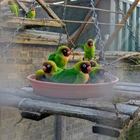 Photo taken at Hanwell Zoo by Andrey G. on 11/28/2021