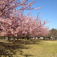 高洲中央公園 高洲4 1 1 高洲中央公園 高洲4 1 1