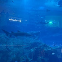Photo taken at Dubai Aquarium by Ali A. on 2/12/2024