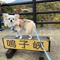 Photo taken at Naruko Gorge by もた on 10/25/2023