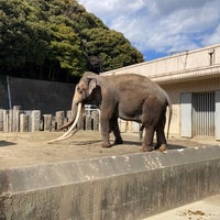 Photo taken at Kanazawa Zoo by パン粉 on 3/9/2024