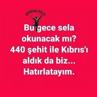 Tavuk Dunyasi Nilufer Bursa