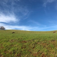 Photo taken at Palo Alto Foothills Park by Micah A. on 2/8/2021