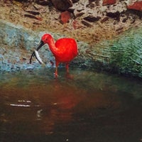 Photo taken at Jardim Zoológico by Luciana O. on 10/11/2015